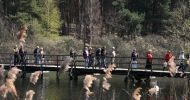 Nordic Walking