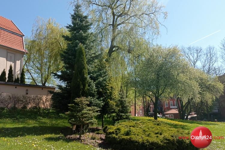 Olsztyn24