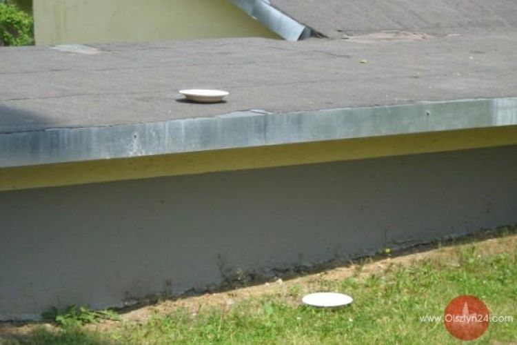 Stawiajmy poidła dla zwierząt