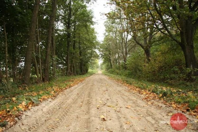 Mikołaju Koperniku. Wesprzyj! Niechby Gościniec Niborski do zabytków wpisano!