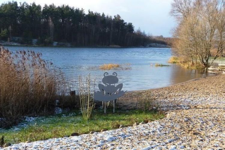 Pociąg do Żabiego Rogu