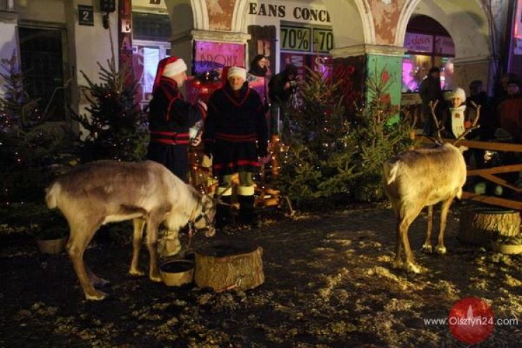 Jarmarku dzień drugi