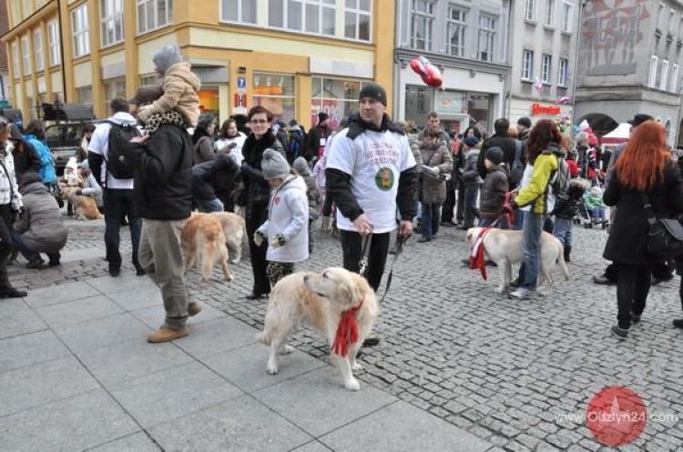 Psiemu urokowi nie oprze się żaden portfel