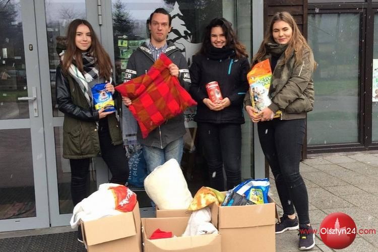 Gimnazjaliści z „14” wsparli olsztyńskie Schronisko dla Zwierząt
