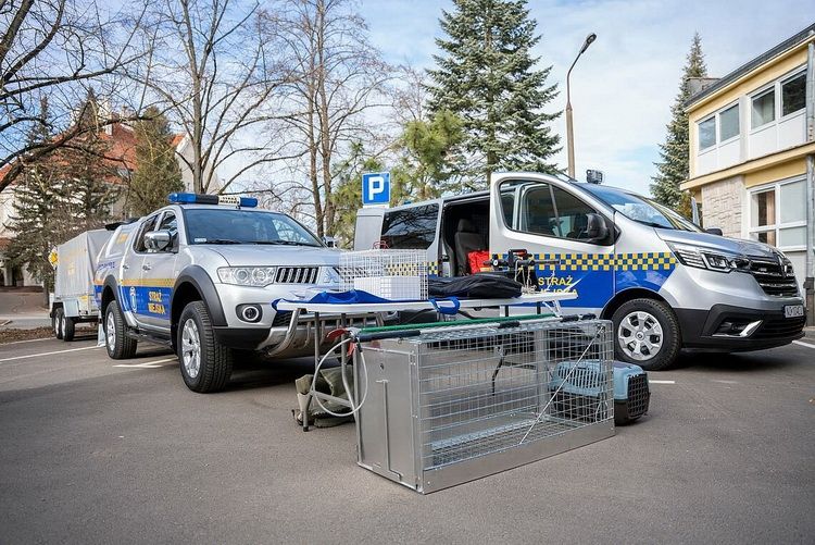 W Olsztynie rusza całodobowy patrol straży miejskiej ds. zwierząt