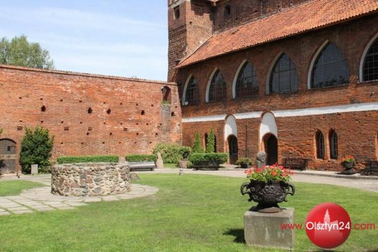 Lipa znowu będzie rosła na zamkowym dziedzińcu?