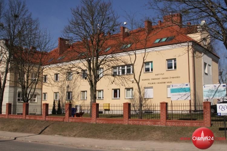 Alergia jako choroba współczesnej cywilizacji