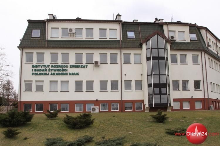 Naukowcy z Olsztyna badają mechanizm długotrwałej infekcji płodu wirusem cytomegalii