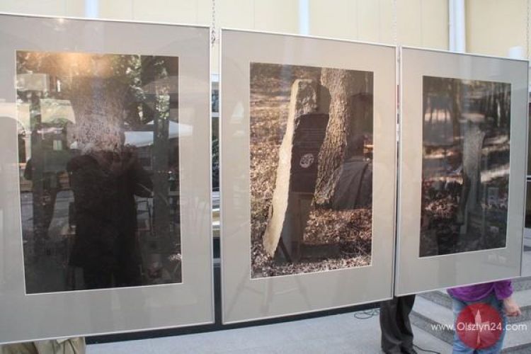 Kamienie drogowskazy trafiły do Starego Ratusza