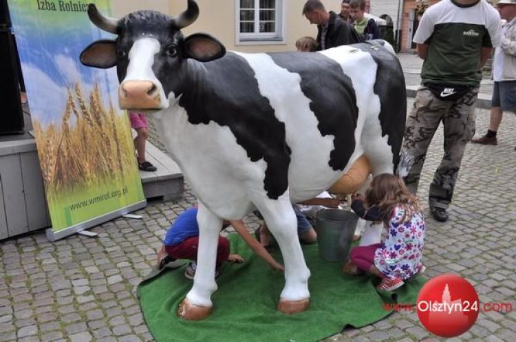 Dla każdego coś mlecznego oferował Piknik Mleczny na starówce