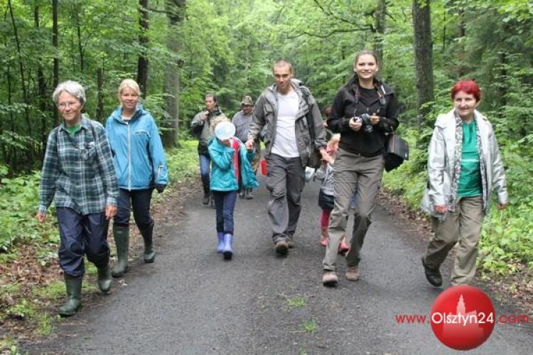 Aktywni olsztynianie zbierali jagody