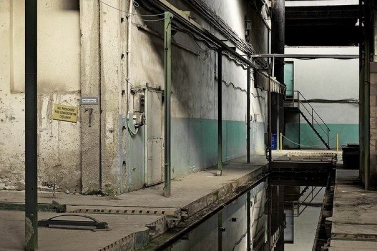 Wystawa fotografii Marzeny Huculak od jutra w Galerii „Sowa”