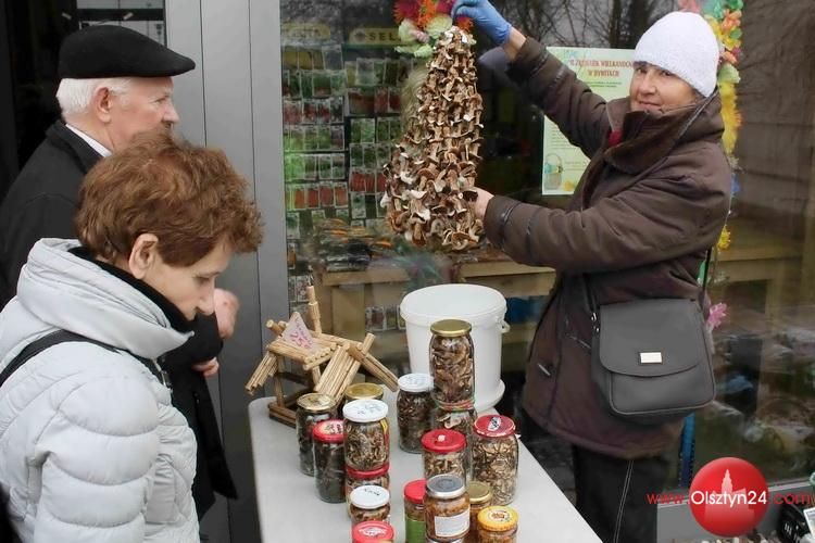 Atrakcyjny weekend w gminie Dywity