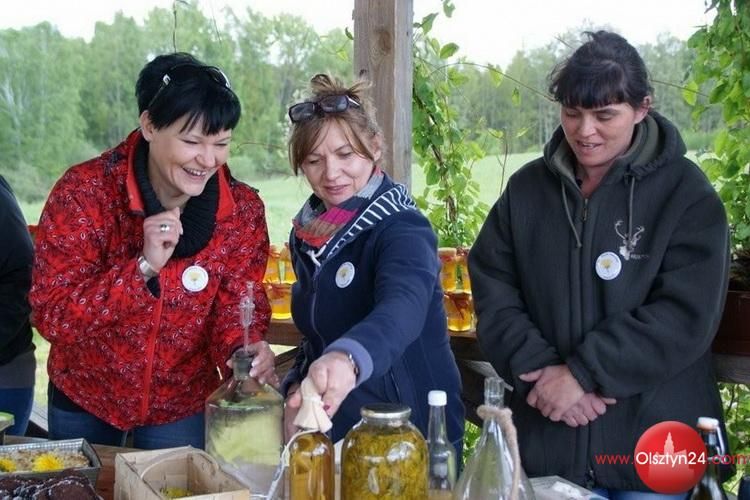 Festiwal Mniszka Lekarskiego zorganizowano w Pajtunach