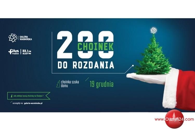 Po pierniki i choinkę do ... Galerii Warmińskiej!