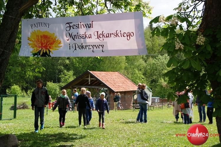 II Festiwal Mniszka Lekarskiego i Pokrzywy za nami!
