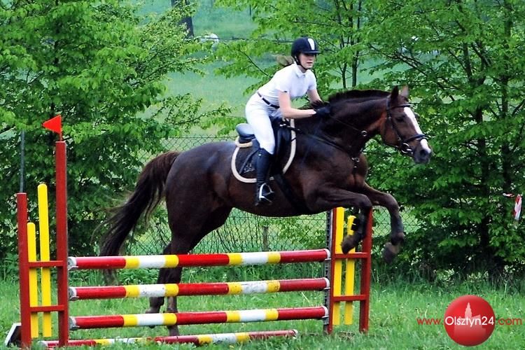 IV Piknik Jeździecki odbył się w Smolajnach