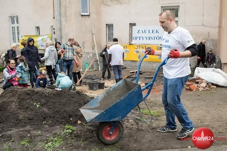 Pierwszy w Olsztynie ogród deszczowy stworzono na Zatorzu