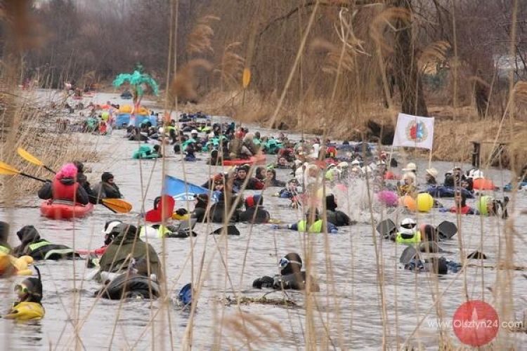 Płetwonurkowie aktywni