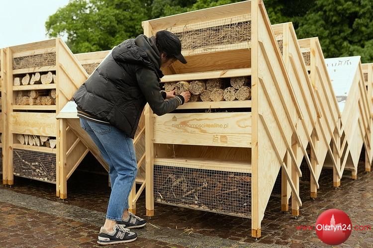 Rekord pobity, pszczele domki trafią także do Olsztyna