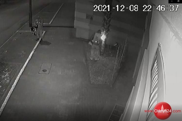 Podpalili palmę, dostali zarzuty