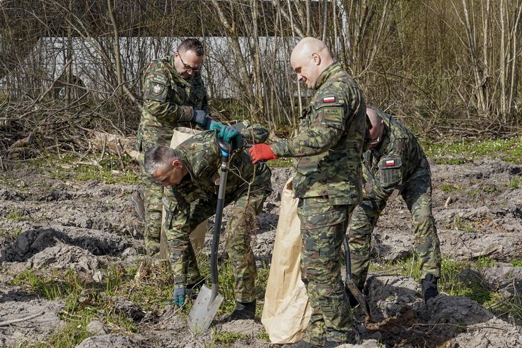 Ogólnopolska akcja sadzenia drzew z okazji 35-lecia Straży Granicznej   