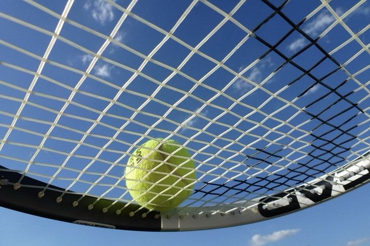 Polscy tenisiści na Wimbledonie 2026
