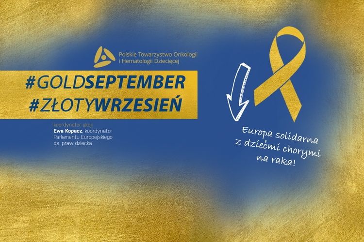 Ratusz i obserwatorium się zazłocą
