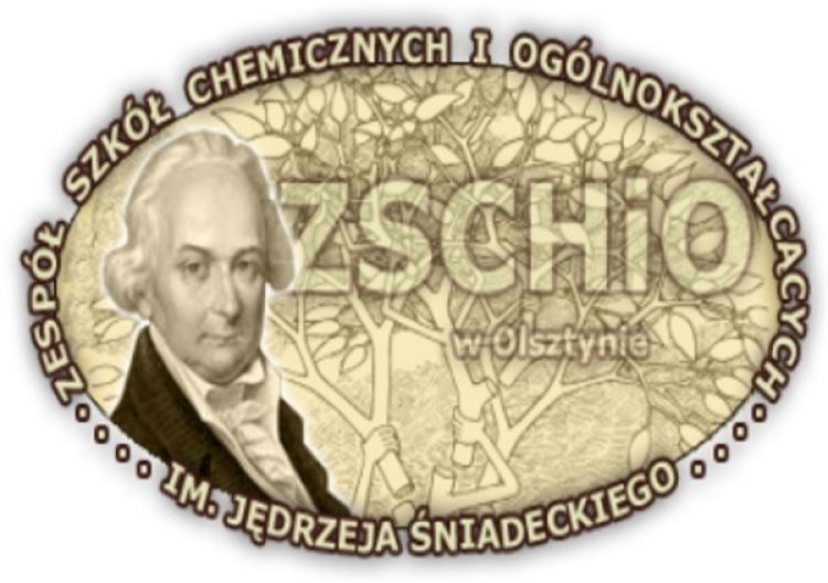 Młodzież w działaniu