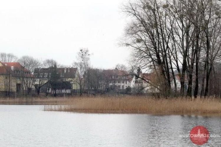 Zimowe przygotowania do wiosny nad Jeziorem Długim