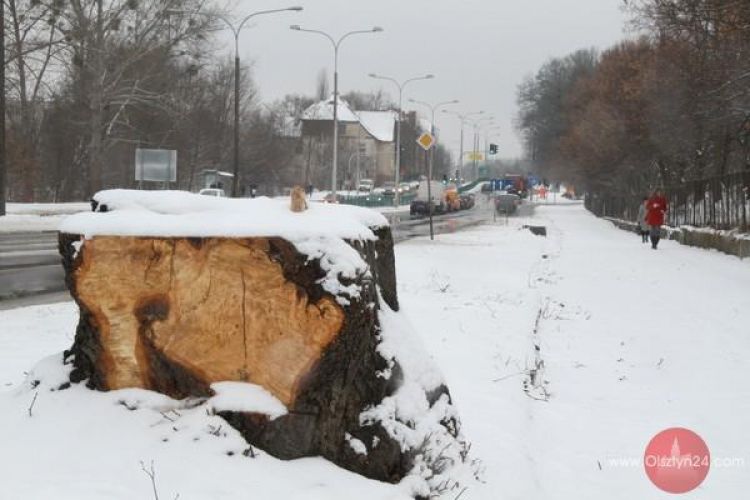Piły tną, siekiery rąbią...