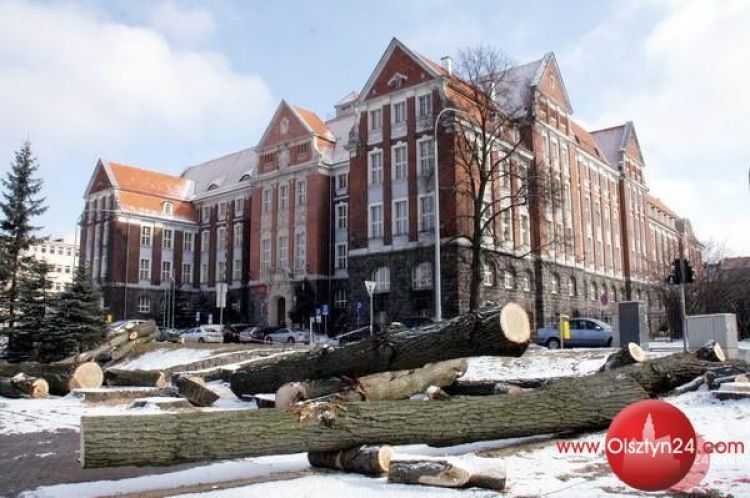 Topole wycięte, urząd odsłonięty