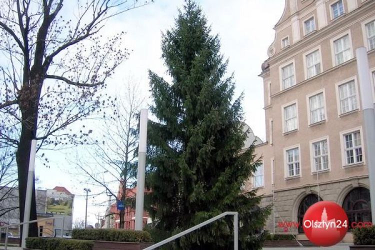 Choinka cała będzie... w koronkach