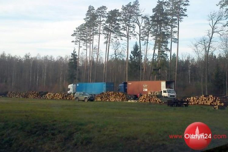 Tną, bo będzie obwodnica