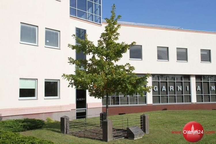 Dąb papieski na UWM