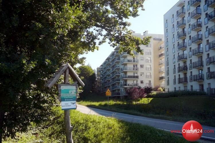 Trzeba wyciąć 4,5 hektara lasu pod drogową inwestycję 