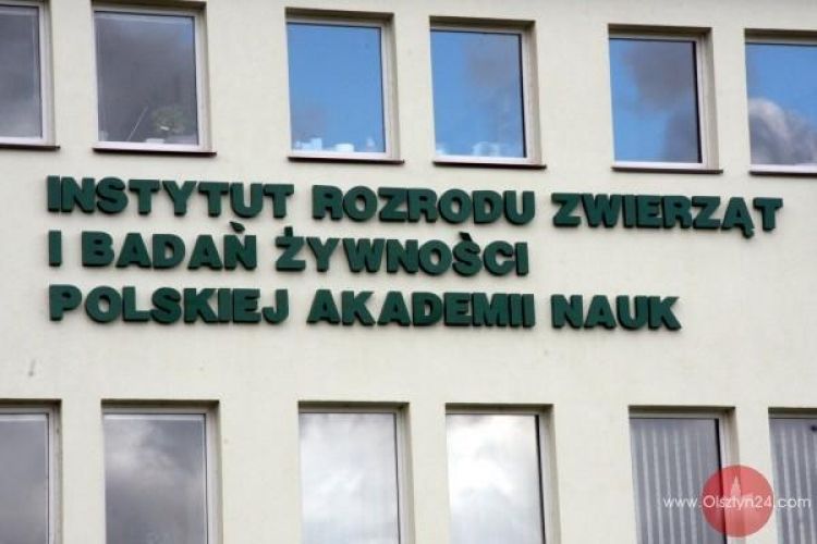 Na wojennej ścieżce z otyłością i cukrzycą