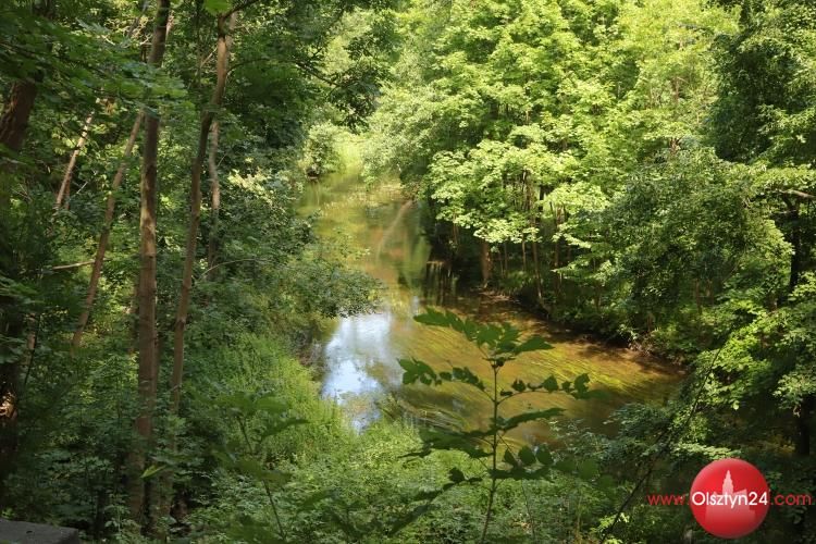 Uwiecznią źródła Łyny na fotografiach, a potem pokażą je światu...