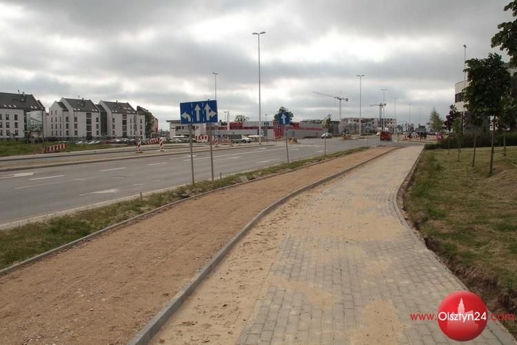 Posadzą pierwsze 3 z 300 drzew dla Olsztyna