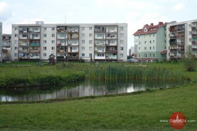Jaroty na różowo