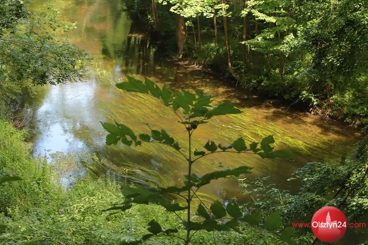 Łyna do skoszenia, będą utrudnienia