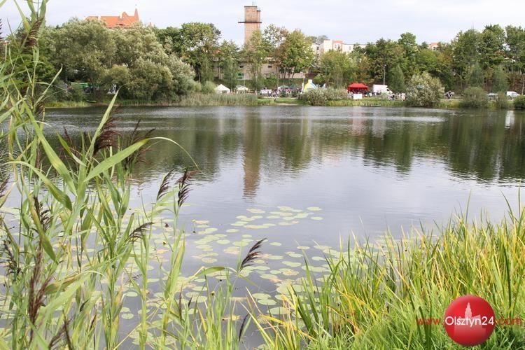 Inwazyjna roślina zostanie usunięta z jezior Długiego i Kortowskiego