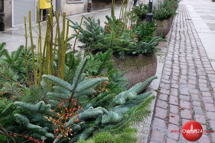 Zimowe kompozycje w centrum Olsztyna
