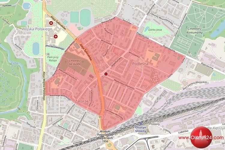 Wykryto przypadek wścieklizny u nietoperza na Zatorzu