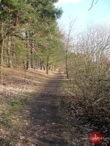 POZNAJ WARMIĘ I MAZURY: Błękitny szlak pieszy w Olsztynie