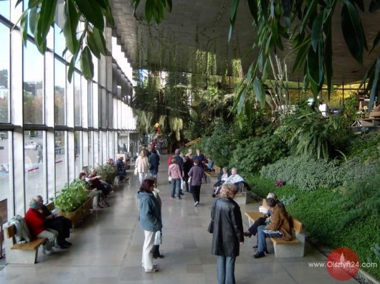 Nasi pojadą do Krynicy