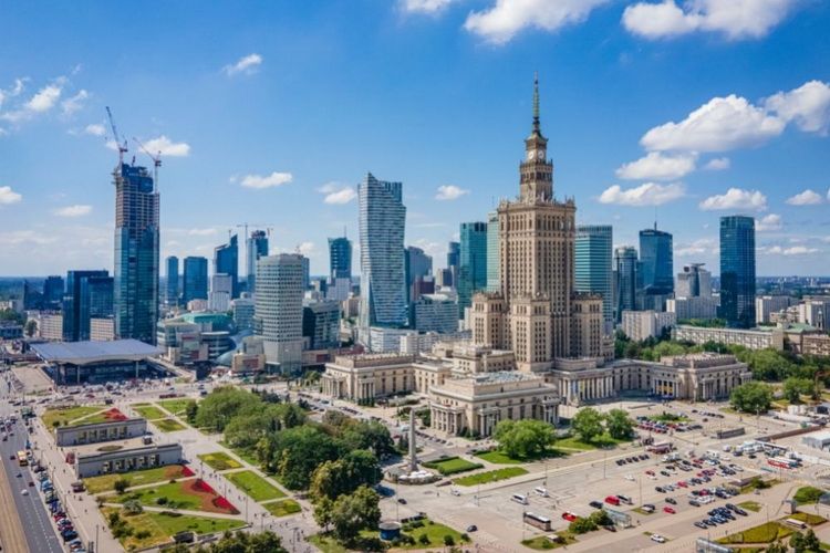 Warszawscy specjaliści - znajdziesz ich w sieci