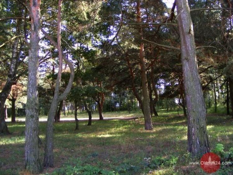 Fajne miasto i lasek