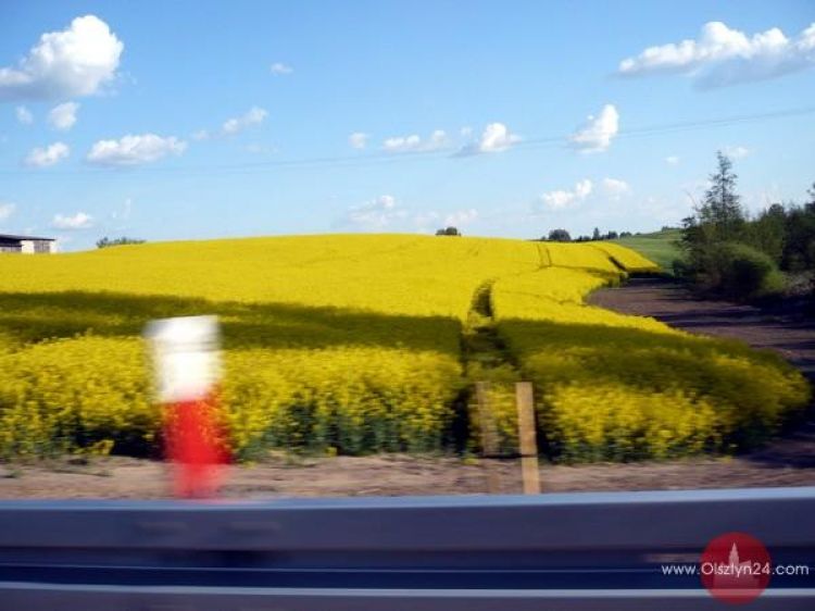 Podziwiaj i oszczędzaj