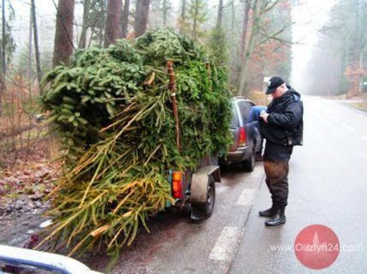Kradzież choinki się nie opłaca